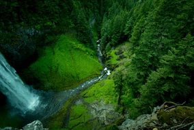 แอปพลิเคชั่นกล้องวงจรปิดสำหรับการป้องกันอัคคีภัยในป่า